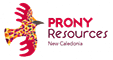 PRONY RESOURCES- logo